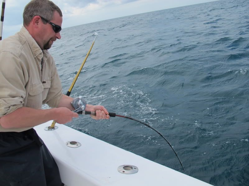 2/24/14 2pc (FAST action) vs. 1pc (FAST & Parabolic) Black Hole Cape